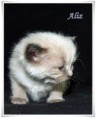 /album/aliz/aliz-3-hetes-02-jpg1/
